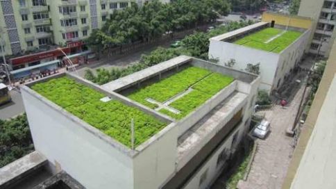 蓄排水板与屋顶绿化的关系蓄排水板与屋顶绿化的关系