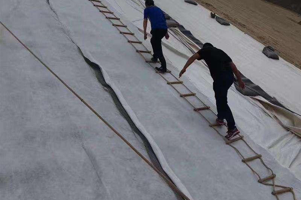 土工复合排水网规格型号详解
