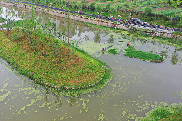 农村生活污水处理最好的方式  第1张